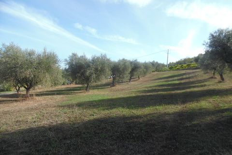 Helårsgrund i Controguerra, Teramo, Controguerra - € 100.000 | Ref: ter79 - foto 8