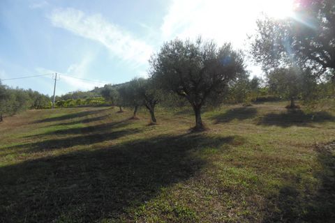 Helårsgrund i Controguerra, Teramo, Controguerra - € 100.000 | Ref: ter79 - foto 10