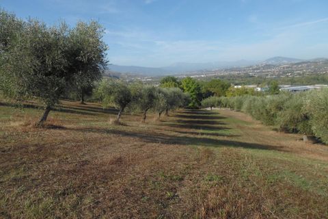 Helårsgrund i Controguerra, Teramo, Controguerra - € 100.000 | Ref: ter79 - foto 11