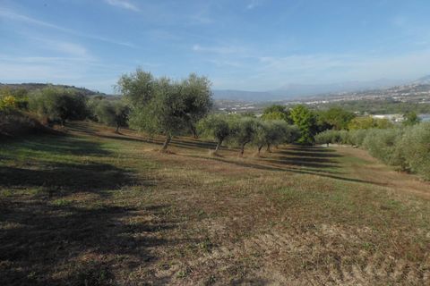 Helårsgrund i Controguerra, Teramo, Controguerra - € 100.000 | Ref: ter79 - foto 12