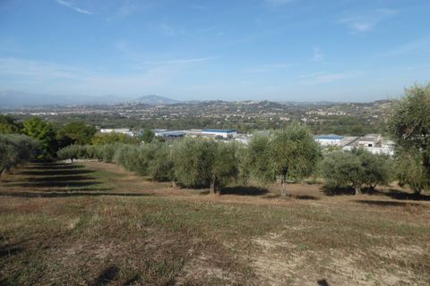 Helårsgrund i Controguerra, Teramo, Controguerra - € 100.000 | Ref: ter79 - foto 13