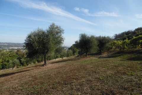 Helårsgrund i Controguerra, Teramo, Controguerra - € 100.000 | Ref: ter79 - foto 16
