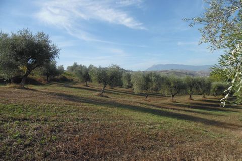 Helårsgrund i Controguerra, Teramo, Controguerra - € 100.000 | Ref: ter79 - foto 17