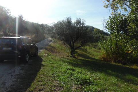 Helårsgrund i Controguerra, Teramo, Controguerra - € 100.000 | Ref: ter79 - foto 18
