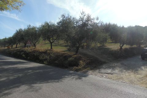 Helårsgrund i Controguerra, Teramo, Controguerra - € 100.000 | Ref: ter79 - foto 19
