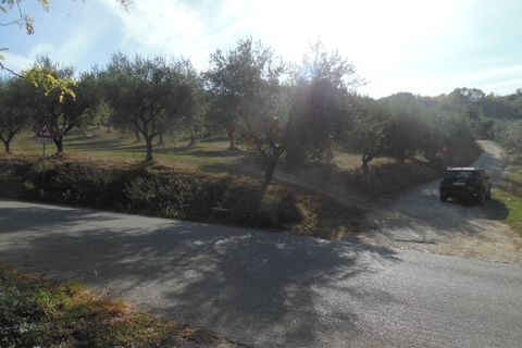 Helårsgrund i Controguerra, Teramo, Controguerra - € 100.000 | Ref: ter79 - foto 20