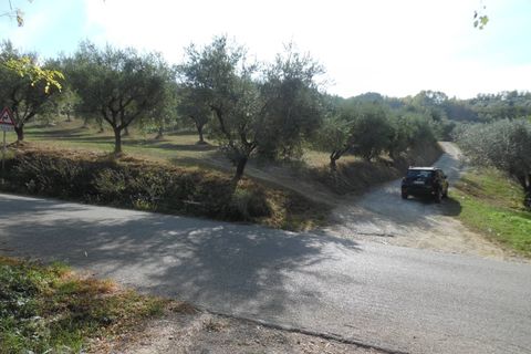 Helårsgrund i Controguerra, Teramo, Controguerra - € 100.000 | Ref: ter79 - foto 21