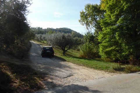 Helårsgrund i Controguerra, Teramo, Controguerra - € 100.000 | Ref: ter79 - foto 22