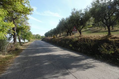 Helårsgrund i Controguerra, Teramo, Controguerra - € 100.000 | Ref: ter79 - foto 23