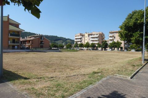 Terra a Pedaso, Fermo, Pedaso - € 550.000 | Ref: ter343 - foto 2