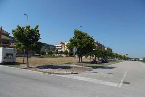 Terra a Pedaso, Fermo, Pedaso - € 550.000 | Ref: ter343 - foto 3