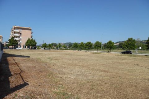 Terra a Pedaso, Fermo, Pedaso - € 550.000 | Ref: ter343 - foto 4