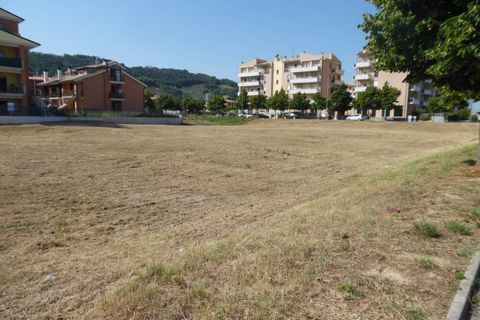 Terra a Pedaso, Fermo, Pedaso - € 550.000 | Ref: ter343 - foto 5