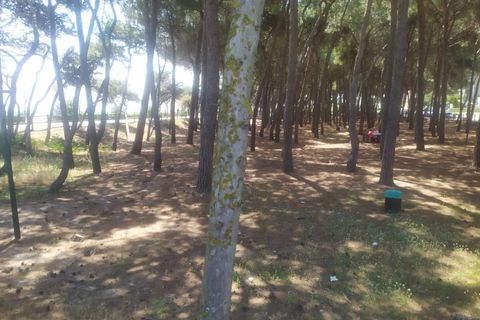 Lejlighed i Alba Adriatica, Teramo, Alba Adriatica - € 530.000 | Ref: app366 - foto 16
