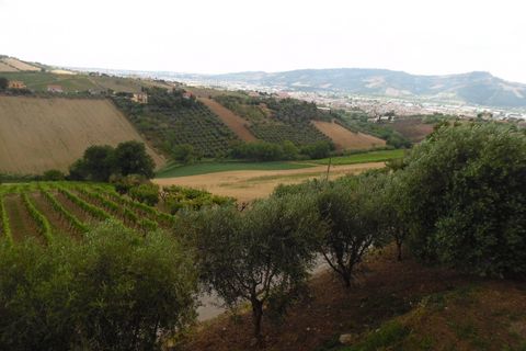 Landejendom i Monteprandone, Ascoli Piceno, Monteprandone - € 220.000 | Ref: cas382 - foto 19