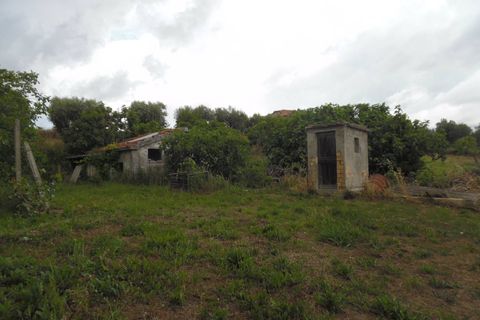 Landejendom i Monteprandone, Ascoli Piceno, Monteprandone - € 220.000 | Ref: cas382 - foto 36