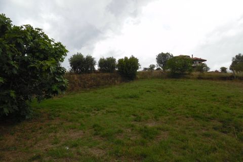 Landejendom i Monteprandone, Ascoli Piceno, Monteprandone - € 220.000 | Ref: cas382 - foto 41