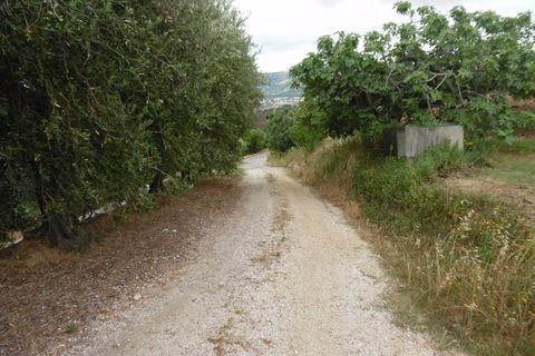 Landejendom i Monteprandone, Ascoli Piceno, Monteprandone - € 220.000 | Ref: cas382 - foto 47