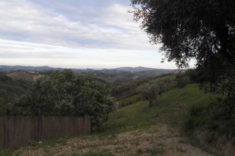 Villa a Castorano, Ascoli Piceno, Castorano - € 235.000 | Ref: cas1570 - foto 8