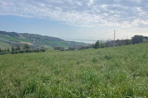 Tomt i Monteprandone, Ascoli Piceno, Monteprandone - € 310 000 | Ref: ter676 - foto 2