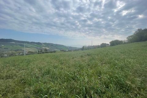 Tomt i Monteprandone, Ascoli Piceno, Monteprandone - € 310 000 | Ref: ter676 - foto 3