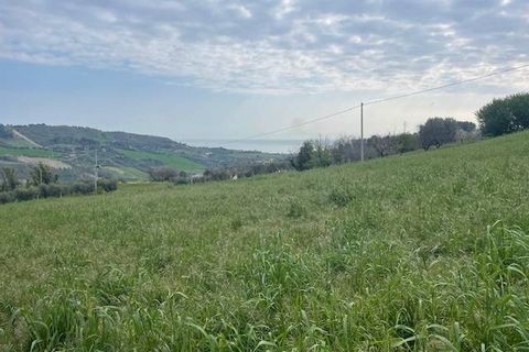 Tomt i Monteprandone, Ascoli Piceno, Monteprandone - € 310 000 | Ref: ter676 - foto 7