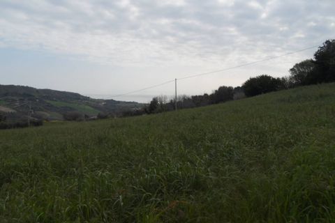 Tomt i Monteprandone, Ascoli Piceno, Monteprandone - € 310 000 | Ref: ter676 - foto 11