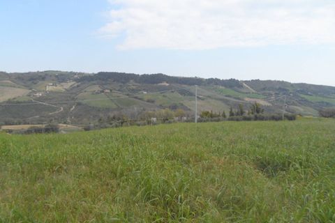 Tomt i Monteprandone, Ascoli Piceno, Monteprandone - € 310 000 | Ref: ter676 - foto 12