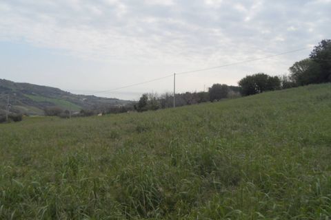 Tomt i Monteprandone, Ascoli Piceno, Monteprandone - € 310 000 | Ref: ter676 - foto 13