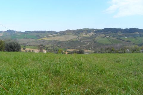 Tomt i Monteprandone, Ascoli Piceno, Monteprandone - € 310 000 | Ref: ter676 - foto 15