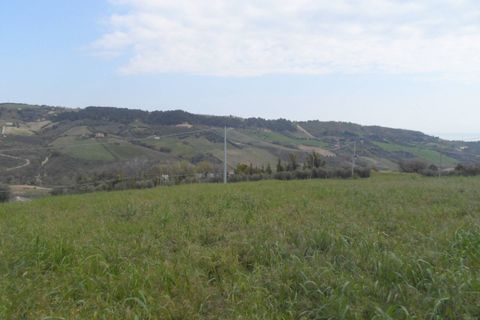Tomt i Monteprandone, Ascoli Piceno, Monteprandone - € 310 000 | Ref: ter676 - foto 16