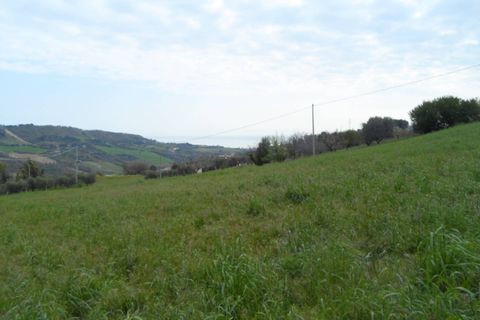 Tomt i Monteprandone, Ascoli Piceno, Monteprandone - € 310 000 | Ref: ter676 - foto 17