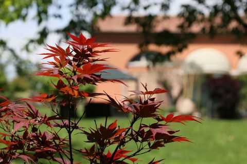 Landejendom i Treviso, Treviso, Treviso - € 800.000 | Ref: R259 - foto 3