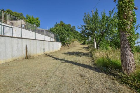 Landejendom i Montefalcone Appennino, Fermo, Montefalcone Appennino - € 138.000 | Ref: 113424 - foto 5