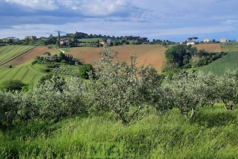 Helårsgrund i Montegranaro, Fermo, Montegranaro - € 150.000 | Ref: 114340 - foto 2
