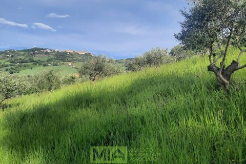 Helårsgrund i Montegranaro, Fermo, Montegranaro - € 150.000 | Ref: 114340 - foto 3