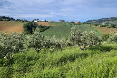 Helårsgrund i Montegranaro, Fermo, Montegranaro - € 150.000 | Ref: 114340 - foto 4