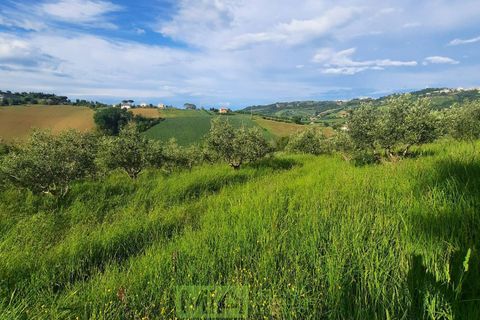 Helårsgrund i Montegranaro, Fermo, Montegranaro - € 150.000 | Ref: 114340 - foto 5