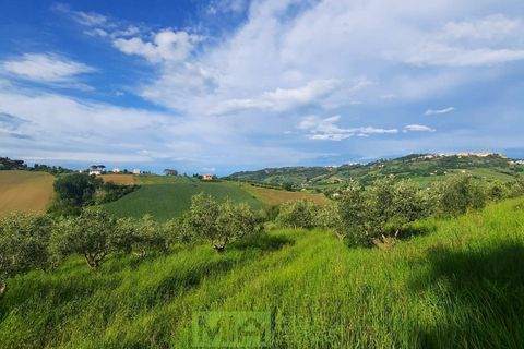 Helårsgrund i Montegranaro, Fermo, Montegranaro - € 150.000 | Ref: 114340 - foto 8