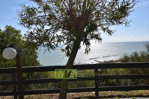 Erhvervsejendom i Pedaso, Fermo, Pedaso - € 1.250.000 | Ref: 114495 - foto 1
