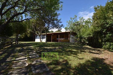 Erhvervsejendom i Pedaso, Fermo, Pedaso - € 1.250.000 | Ref: 114495 - foto 3