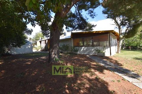 Erhvervsejendom i Pedaso, Fermo, Pedaso - € 1.250.000 | Ref: 114495 - foto 5