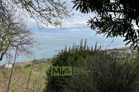 Erhvervsejendom i Pedaso, Fermo, Pedaso - € 1.250.000 | Ref: 114495 - foto 18