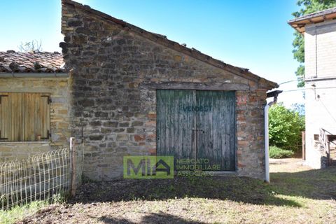 Villa i Force, Ascoli Piceno, Force - € 48.000 | Ref: 114521 - foto 5