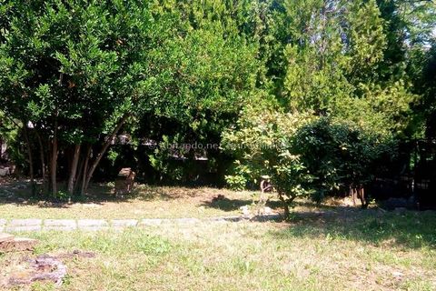Villa i Civitella Casanova, Pescara, Civitella Casanova - € 295.000 | Ref: CT0051 - foto 34