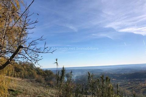 Villa a Civitella Casanova, Pescara, Civitella Casanova - € 98.000 | Ref: PNN727 - foto 16