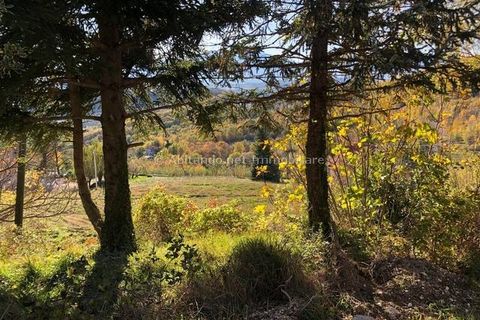 Villa a Civitella Casanova, Pescara, Civitella Casanova - € 98.000 | Ref: PNN727 - foto 18
