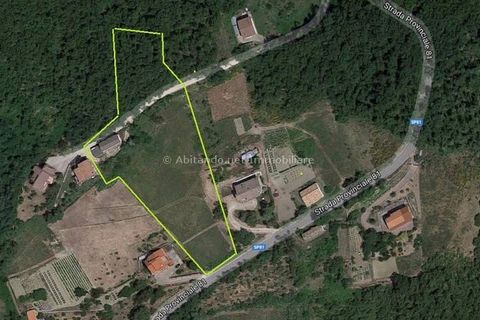 Villa a Civitella Casanova, Pescara, Civitella Casanova - € 98.000 | Ref: PNN727 - foto 20