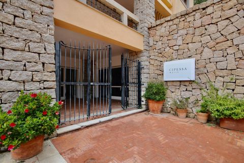 Erhvervsejendom i Arzachena, Sassari, Arzachena - € 450.000 | Ref: CBI096-996-122 - foto 3