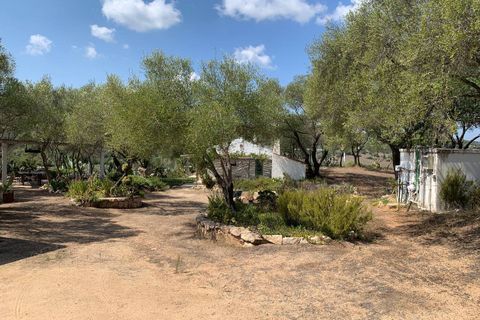 Villa i Olbia, Olbia Tempio, Olbia - € 1.080.000 | Ref: CBI096-996-360 - foto 16